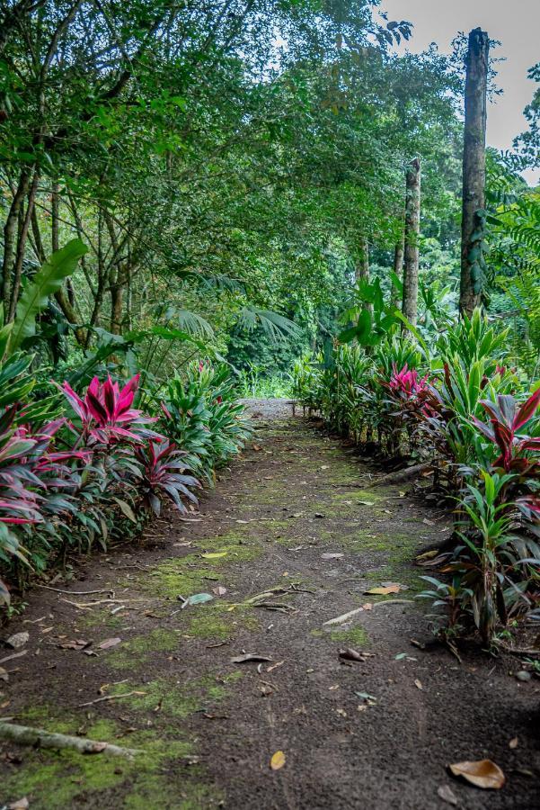 Hotel Los Rios Guácimo Εξωτερικό φωτογραφία
