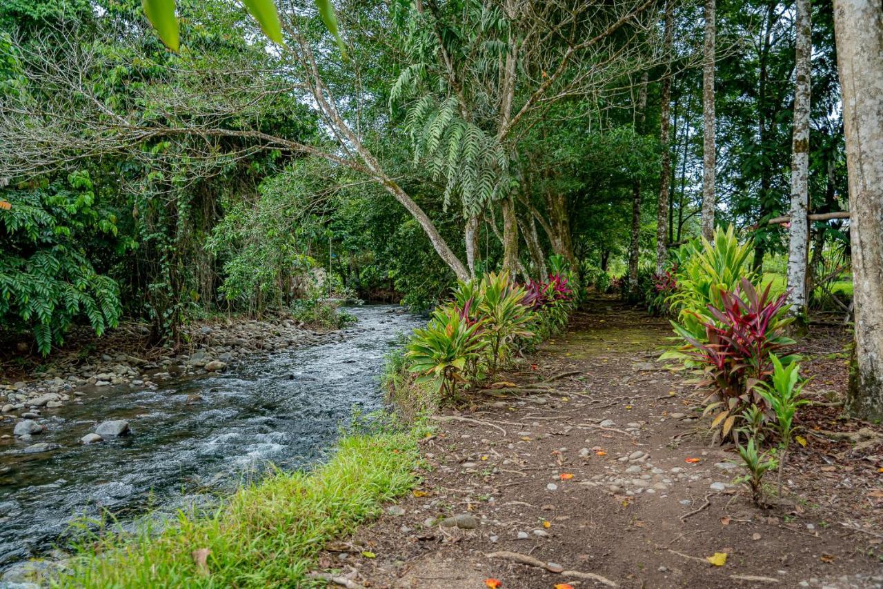 Hotel Los Rios Guácimo Εξωτερικό φωτογραφία